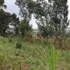 500 m² Commercial Land in Kikuyu Town thumb 1