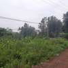 10 Acres Prime Land for Joint Venture in Thindigua Kiambu thumb 7