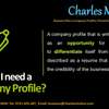 Professional Company Profile Services thumb 1