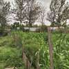 50 by 100 prime plot for sale at Githurai 45. thumb 2