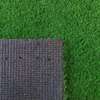 Artificial Grass Carpet thumb 0