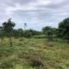 Residential Land in Vipingo thumb 11
