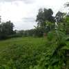 0.5 ac Residential Land in Thome thumb 1