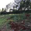 0.125 ac Commercial Land at Near Uon thumb 20