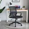 Office Seats: Captain Mesh Black Medium Back Office Seat thumb 0