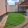 4 Bed House with En Suite at Mugutha thumb 2