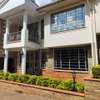 5 Bed House with En Suite at Kyuna thumb 10