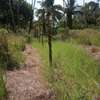 land for sale in vipingo thumb 9