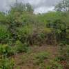 160 Acres Touching Thika-garissa Road Is On Quick Sale thumb 2