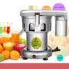 Commercial Fruit Juicer Electric Juice Extractor thumb 4