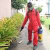 Fumigation and pest Control Services Kahawa West thumb 2