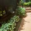 3 Bed House with Garden in Kileleshwa thumb 3