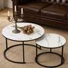 Coffee Tables:Pair of Marble Coffee Table In Keumbu thumb 2