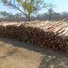 Gum poles for construction ,fencing or landscaping thumb 5