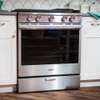 Cooker oven repair services-Fridge repair in Nakuru thumb 12