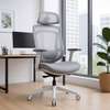 Office Chair: Ergonomic Modern Office Chair In Awendo thumb 0