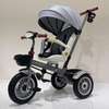 Lollipoly Kids Tricycle Brown Black with Canopy thumb 1