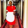 Affordable,Professional,and Reliable Domestic Staff Services thumb 1