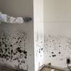 Expert Mould Remediation in Runda, Muthaiga & Gigiri thumb 2