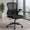 Office chair: Mesh Office Chair with Flip-Up Armrests thumb 0