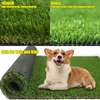 Carpet: Green 1 meter Modern Carpet In Miruka thumb 3