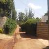 Spacious 3 BR Houses plus Sqs in Ngong thumb 12
