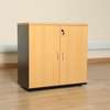 Wooden 2 Door Home Office Storage Cabinet thumb 3