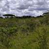 2-Acre Freehold Land With Nairobi City & SGR Views thumb 7