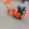 Multifunctional mini power tiller/cultivator thumb 1