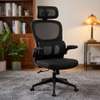 Office Chairs;Office Ergonomic Mesh Chair  In Kisumu thumb 0