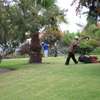 Gardeners Recruitment & Outsourcing Services in Nairobi thumb 6