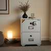 Fireproof Safe;2-Drawer Diplomat Fireproof Safebox thumb 0