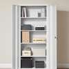 Cabinets : 2 Door Metallic Office Cabinet thumb 9