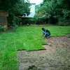 Expert Lawn Mowing & Garden Maintenance Limuru Tigoni thumb 7
