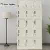 OFFICE CABINET:12 Loker Shoe Storage Office Cabinet thumb 4