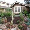 Professional Gardeners for Hire in Thika Town | Call Now thumb 9