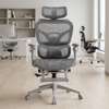 Full Mesh Ergonomic Chair thumb 0