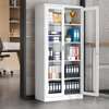 2-Door Glass Steel Frame Modern Storage Cabinet thumb 0
