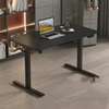 Office Desk;Contemporary Multifunctional Elite Standing Desk thumb 5