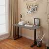 Adjustable Desks: Electric Adjustable Racing Stand Desk thumb 0