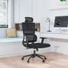 Orthopedic Executive Office Chair thumb 1
