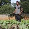 Domestic Workers for Hire-Thika Kiambu Limuru Ruiru Juja thumb 3