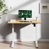 Height Adjustable electric standing desk thumb 10