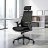 Executive Chairs : Larma Orthopedic Office Chair thumb 0