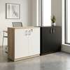 Credenza Cabinet;2-Door Credenza Storage Cabinet thumb 1