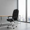 Offfice Chairs : Ergonomic Leather Office Chair thumb 6