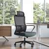Office Chair: High Back Office Chair In Keumbu thumb 0