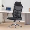 Executive Chairs : High-back Executive Office Chair thumb 2