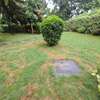 4 Bed Villa with En Suite at Runda thumb 11