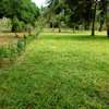 LAND FOR SALE ON THE CREEK. thumb 3